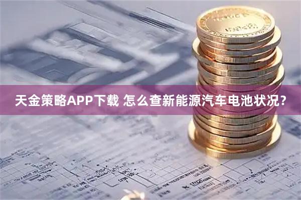 天金策略APP下载 怎么查新能源汽车电池状况？