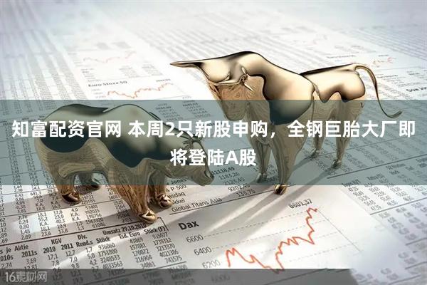 知富配资官网 本周2只新股申购，全钢巨胎大厂即将登陆A股