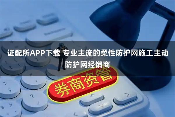 证配所APP下载 专业主流的柔性防护网施工主动防护网经销商